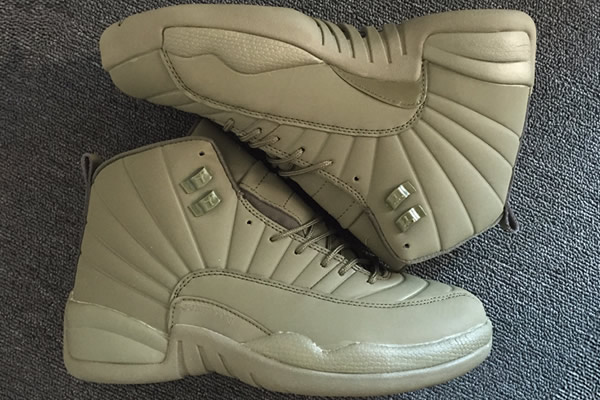 Jordan 12-049